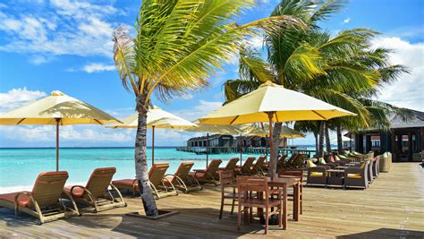 Thundi Pool Bar Dhigufaru Island Resort Maldives