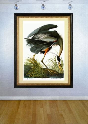 audubon great blue heron 30x44 audubon fine art print hand numbered edition ebay
