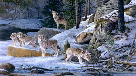 Pack Of Wolves In The Winter Forest Painting Art Backiee