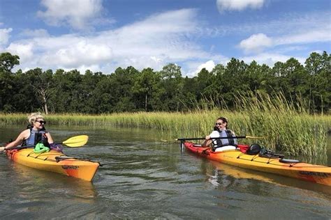 2 Hour Guided Kayaking Eco Tour In Charleston From 4821 Cool