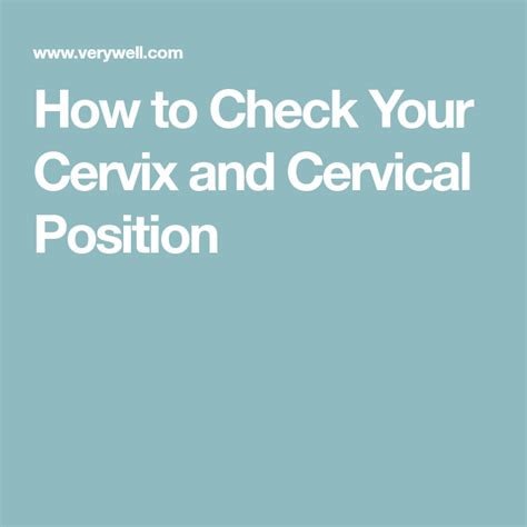 Cervix Position During Menstrual Cycle Cervical Position And Ferning Translating Your