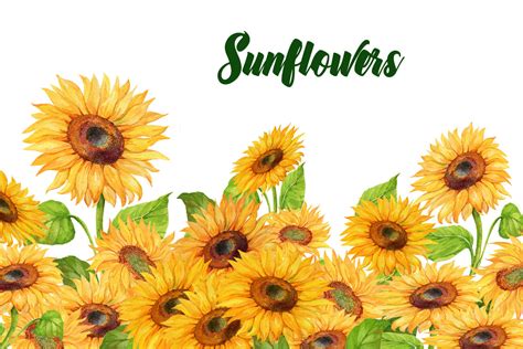 Well you're in luck, because here they come. Sunflowers watercolor By Clipart Shop | TheHungryJPEG.com