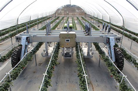 Wave Of Agriculture Robotics Holds Potential To Ease Farm Labor Crunch
