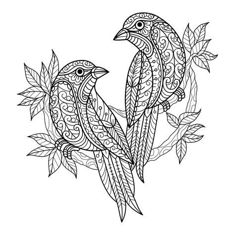 Birds Coloring Book For Adult 1072387 Vector Art At Vecteezy
