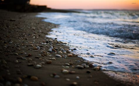 Pebbles On A Sandy Beach At Sunset Wallpaper Photography Wallpapers