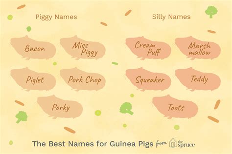 100 Names For Pet Guinea Pigs