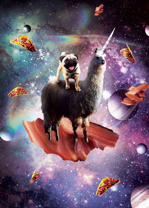 Pug Riding Llama Unicorn Poster By Random Galaxy Displate
