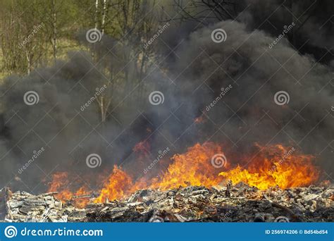 Black Smoke And Fire Fire In Forest Stock Photo Image Of Bright