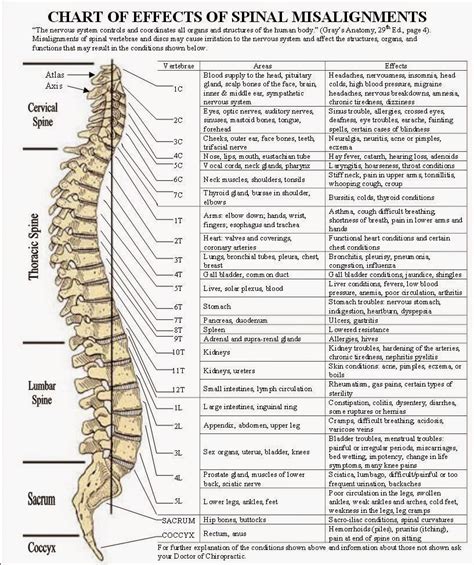 Cancer Natural Therapies And Cures How Spinal Misalignment Has A