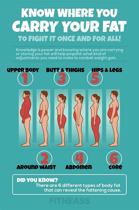 Howebver, body fat distribution differs from person to person. Where Do You Store Fat And What Does This Mean - Fitneass
