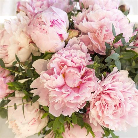 Pink Peony Enchanted Floral Design