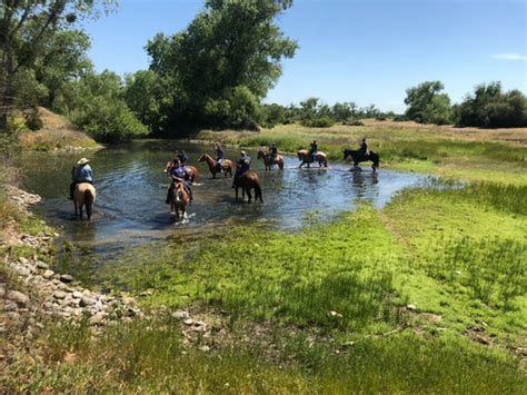 Horse Riding Shadow Glen Riding Stables United States