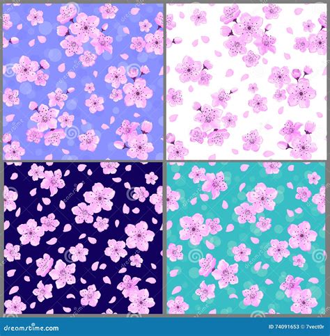 Cherry Blossoms Seamless Patterns Stock Vector Illustration Of
