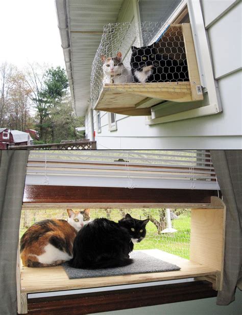 Cat window perch, cat hammock window seat, space saving window mounted cat bed for large cats premium set. Pin on Backyard remodel