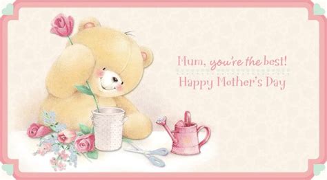 Together they solve problems and have fun. Happy Mother's Day .｡.ღ* | Forever friends bear, Cute ...