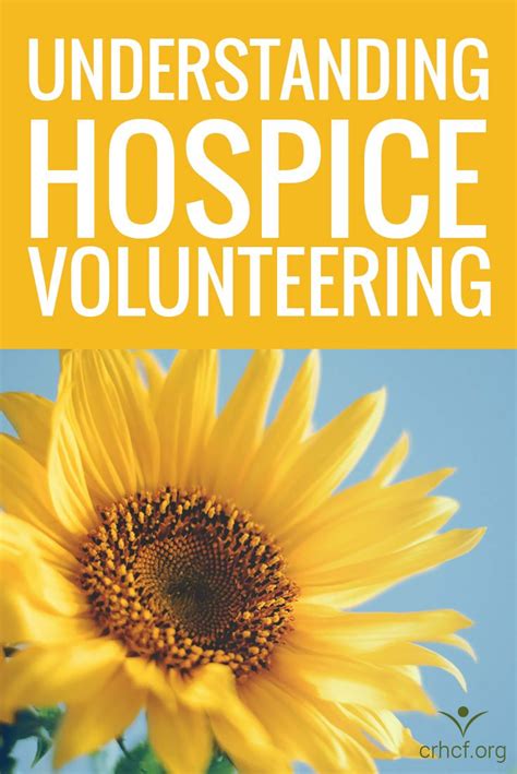Pin On Hospice Volunteers