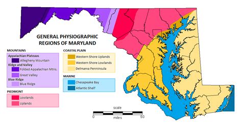Wild Maryland 101 Maryland Naturalists Notes Marylands
