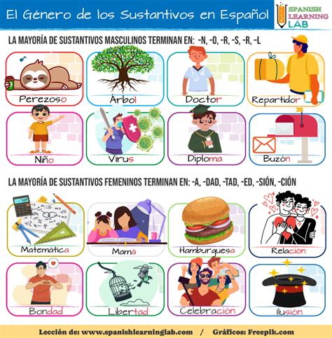 El Género de los Sustantivos en Español Reglas y Ejemplos Spanish