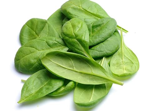 ABOUT SPINACH, SPINACH PRODUCTS