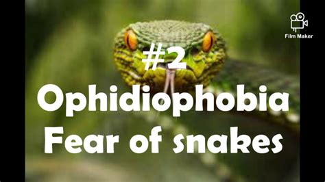 10 Most Common Phobias Youtube