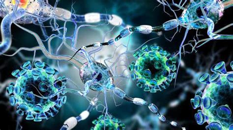 • esclerosis múltiple recidivante progresiva: Seis cosas que no sabes sobre la esclerosis múltiple ...