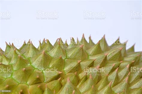 Durian Thorn Texture And Background Stock Photo Download Image Now