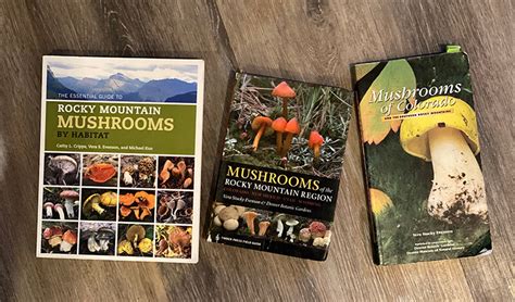 Paul Stamets Book Recommendations Psilocybin Mushrooms The Guide To