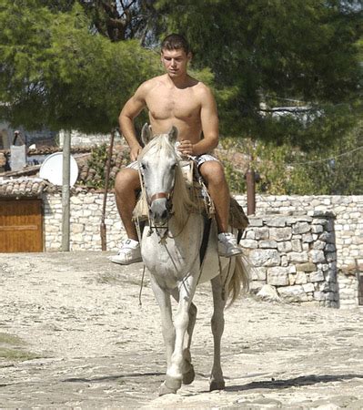 horse pictures  albania  equinest
