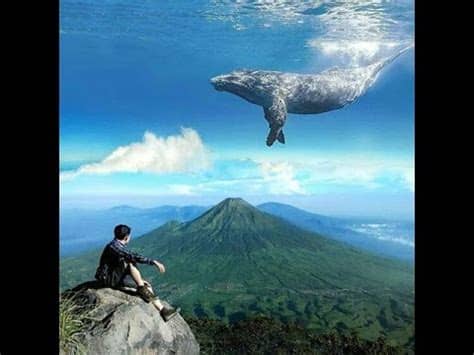 Cara edit foto Menambahkan Ikan Paus di Langit Melalui ...