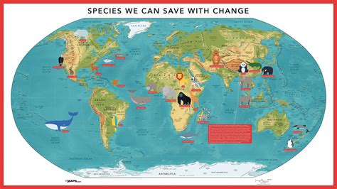 Species We Can Save With Change