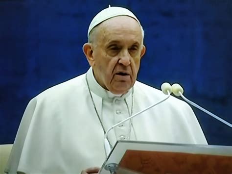 Un papa molto amato, che gode la fiducia del 90% degli italiani. Oggi Papa Francesco ha officiato la Messa nel centenario della nascita di Papa Giovanni Paolo II ...