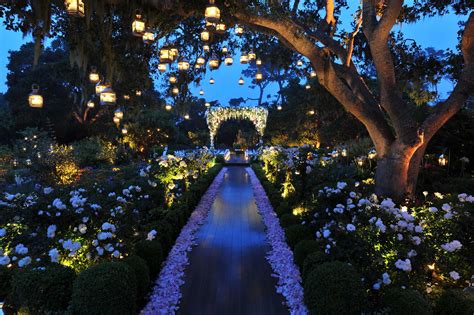 Enchanted Garden by Preston Bailey | Wedding lights, Enchanted garden