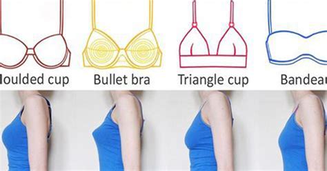 Breast Size Boob Chart Telegraph