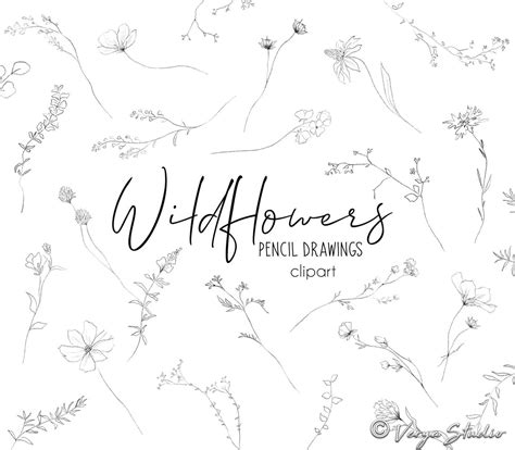 Wildflowers Clipart Botanical Line Art Flowers Leaves Etsy Australia
