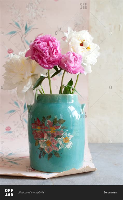 Four Peony Flowers In Painted Vase Stock Photo Offset
