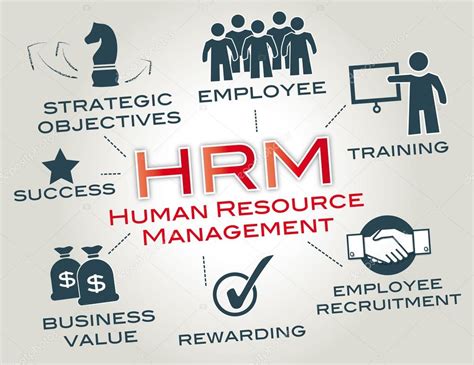 Human Resource Management Hrm Stock Vector By ©trueffelpix 45591617