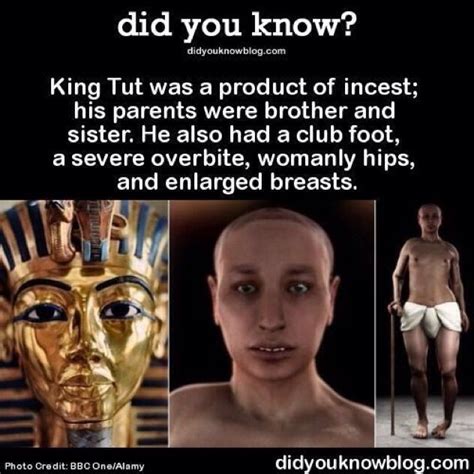 king tut ifk how accurate the product pf insest was unless the minor his father impregnated was