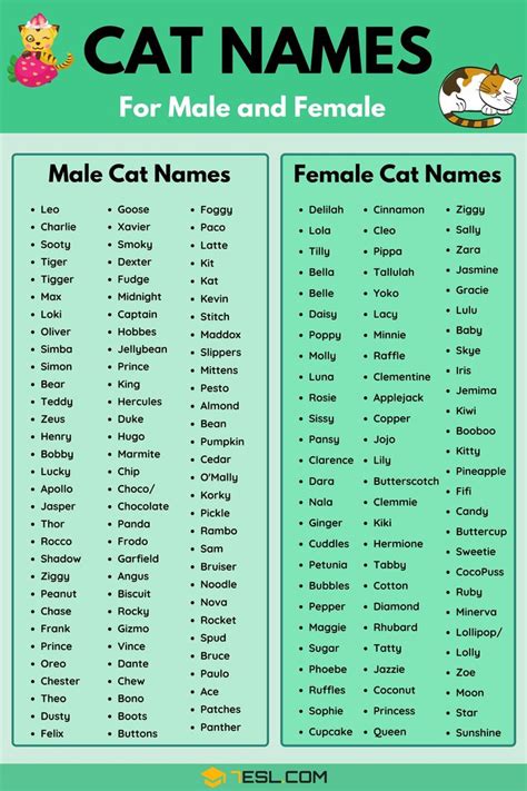 Cat Names For Male And Female With Pictures On The Front In Green Background That Says