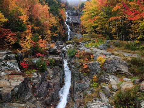 Fall For New Hampshire
