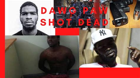Jamaican Gangster Dawg Paw Was Shot On Kied By Polce Youtube