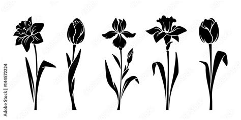 Vector Black Silhouettes Of Spring Flowers Tulips Narcissus And Iris