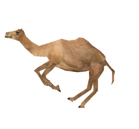 Commuters rely _____ a punctual, comfortable and safe public transport service to get them to work. COMMITTED]=== Update Camel Units - Page 2 - Completed Art ...
