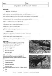 collège saint exupéry, mâcon exercices de remédiation. SVT : 6ème - Cycle 3 - Soutien scolaire : exercices cours ...