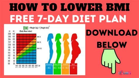 How To Lower Bmi And Body Fat In 14 Days Or Less Libifit Dieting