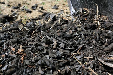 How to make organic soil for your weed. What Is Biochar and How to Create It in Your Garden | HGTV