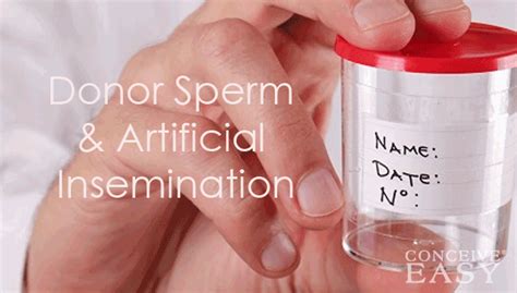 donor sperm artificial insemination conceiveeasy