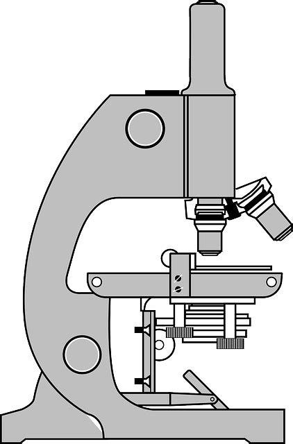 Gambar Mikroskop Beserta Bagian Bagianya Pulp