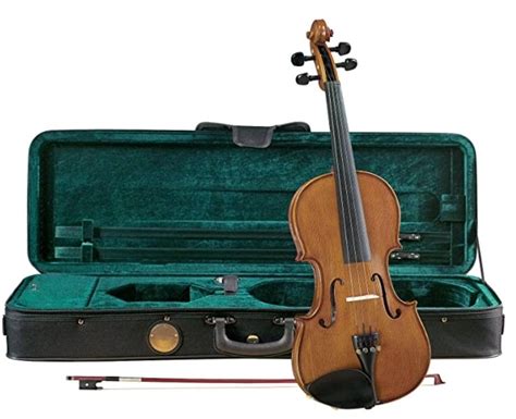 We did not find results for: Best Violin Brands In India In 2021 For Beginners ...