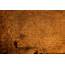 Free Photo Distressed Wood Texture  Textural Scan Scratch