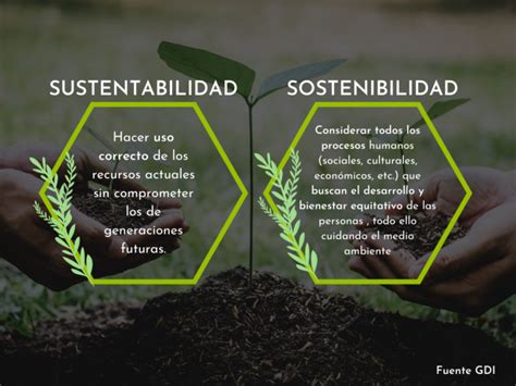 Desarrollo Sustentable Vs Sostenible Cu L Es La Diferencia